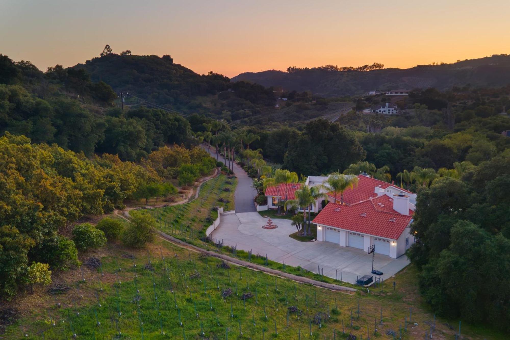 Grapevine By Avantstay Secluded 5Br Villa 4 Acres Of Vineyards Avo Groves Temecula Exterior foto